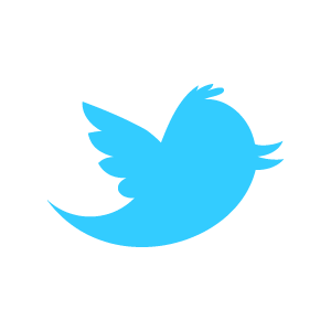 Datei:Twitter newbird blue.png