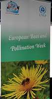 Datei:Bees network.jpg